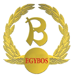 El Mahalla Co  Logo copy  1  removebg preview e1777420849256